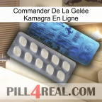 Commander De La Gelée Kamagra En Ligne 34